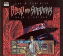 Blood and Shadows Vol 1 1