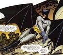 Bruce Wayne (Earth-3898)