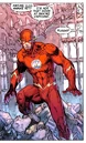Flash 0028.jpg