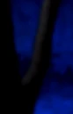 Cheshire Teen Titans 01.jpg