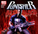 Punisher: In the Blood Vol 1 2