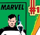 Punisher Vol 2 1