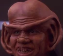 Nog