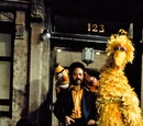 Sesame Street cast photos