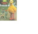 Follow That Bird! (storybook)