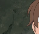 Amai