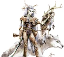 Druid