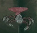 Platform Spider