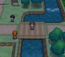 Unova Route 20