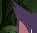 BW046: Purrloin: Sweet or Sneaky?