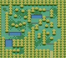 Berry Forest