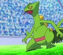 Sceptile Asha