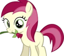 F ROSELUCK