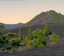 Permian