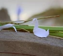 Killing Your Number (episode)