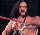 Afa Anoa'i