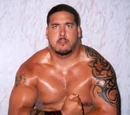 Afa Anoa'i, Jr.