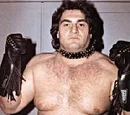Adrian Adonis
