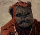 Chukha-Trok
