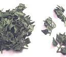 Warrigal greens