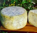 Caciotta