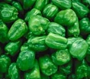 Sri Lankan Vegetarian