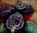 Norwegian Red Cabbage