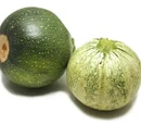 Globe squash