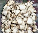 Butterhorns