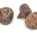 Water chestnut