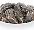 Raw Mussels