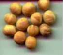 Brewer's yeast Recipes