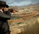 Scoped Rifles