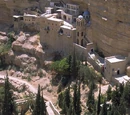 Orthodox Monasticism
