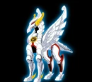 Pegasus Cloth