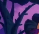 Cheshire Cat