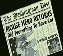 The Washingtoon Post