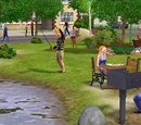 Community lot