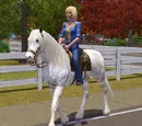 Riding