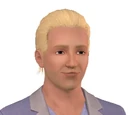 Brave Sims (fanon)