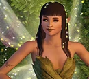 Fairy