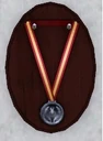 Hero medal.jpg