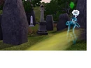 Barnacle bay sleepy ghost.jpg