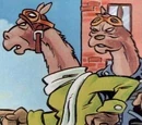 Two Skinny Llamas