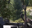 Ancient Citadel: Under Siege