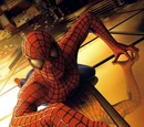 Spider-Man (film)