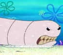 Worms