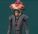 Kakirk