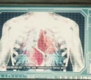 Gallifreyan physiology