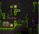 Jungle Spores